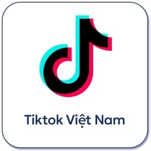 Tiktok Việt Nam - Đối tác truyền thông của The Real IELTS-min