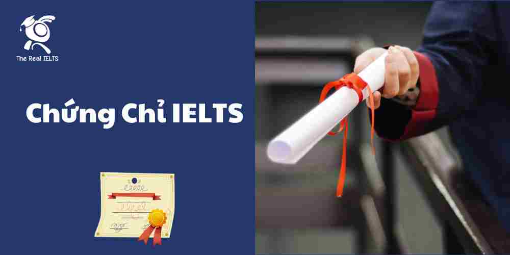 chung-chi-ielts-cac-nganh-nghe-hot-nam-2024