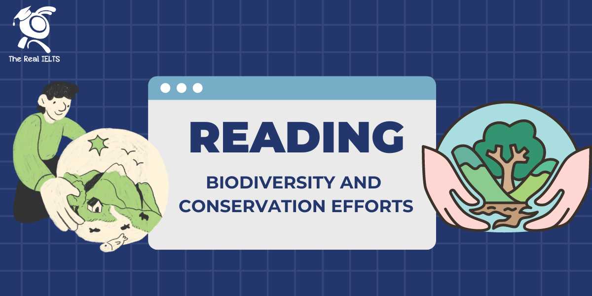 reading-skill-part-18-efforts