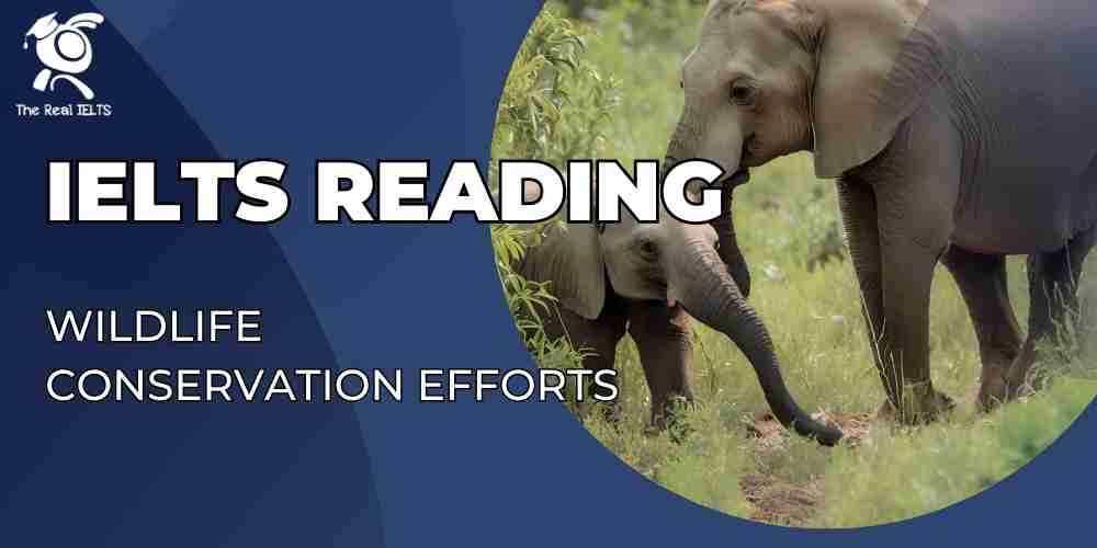 ielts-reading-8-wildlife-conservation-efforts
