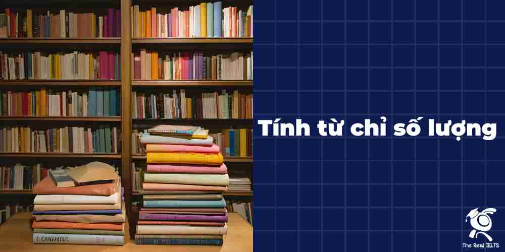 tinh-tu-chi-so-luong-quantifiers