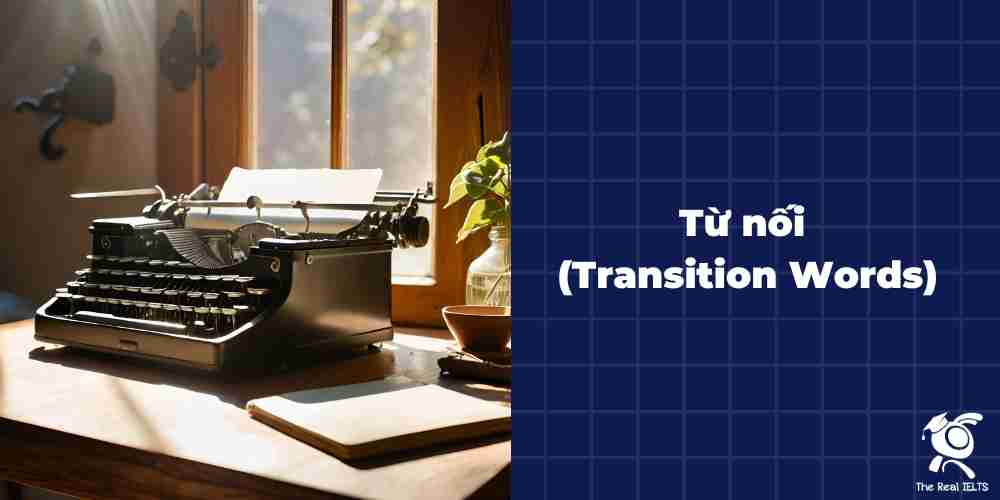 tu-noi-transition-words