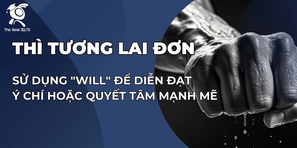 su-dung-will-de-dien-dat-y-chi