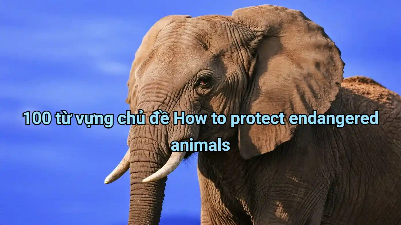 100-tu-vung-bao-ve-dong-vat-nguy-cap