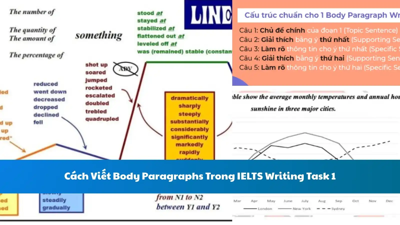 Cách Viết Body Paragraphs Trong IELTS Writing Task 1