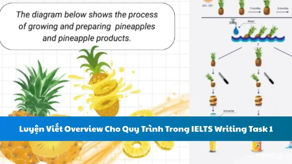 Luyện Viết Overview Cho Quy Trình Trong IELTS Writing Task 1