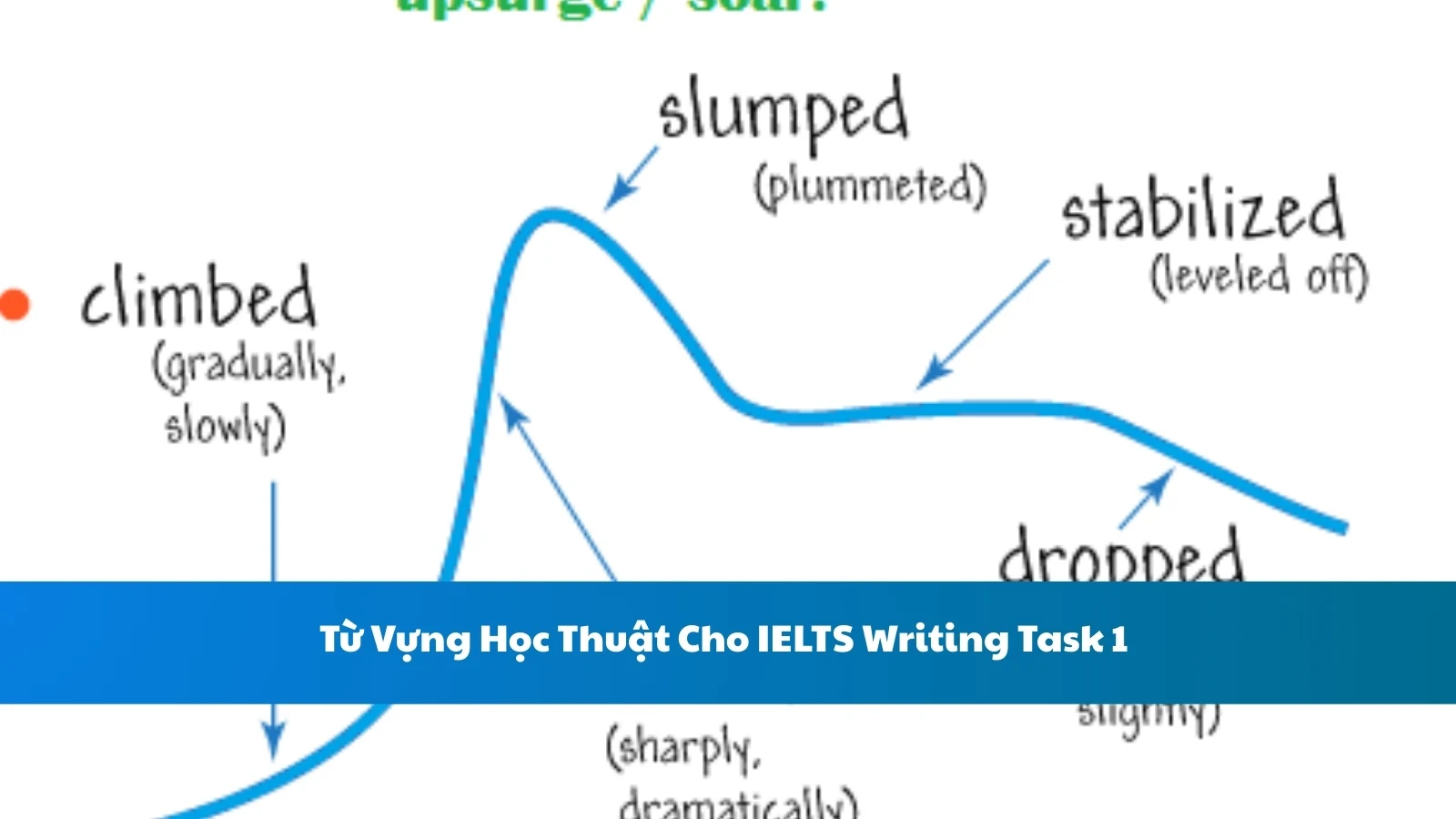 Từ Vựng Học Thuật Cho IELTS Writing Task 1